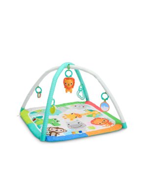 bright starts wild wiggles jungle jubilee foldaway activity gym