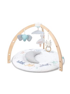 aden+anais ababy activity gym
