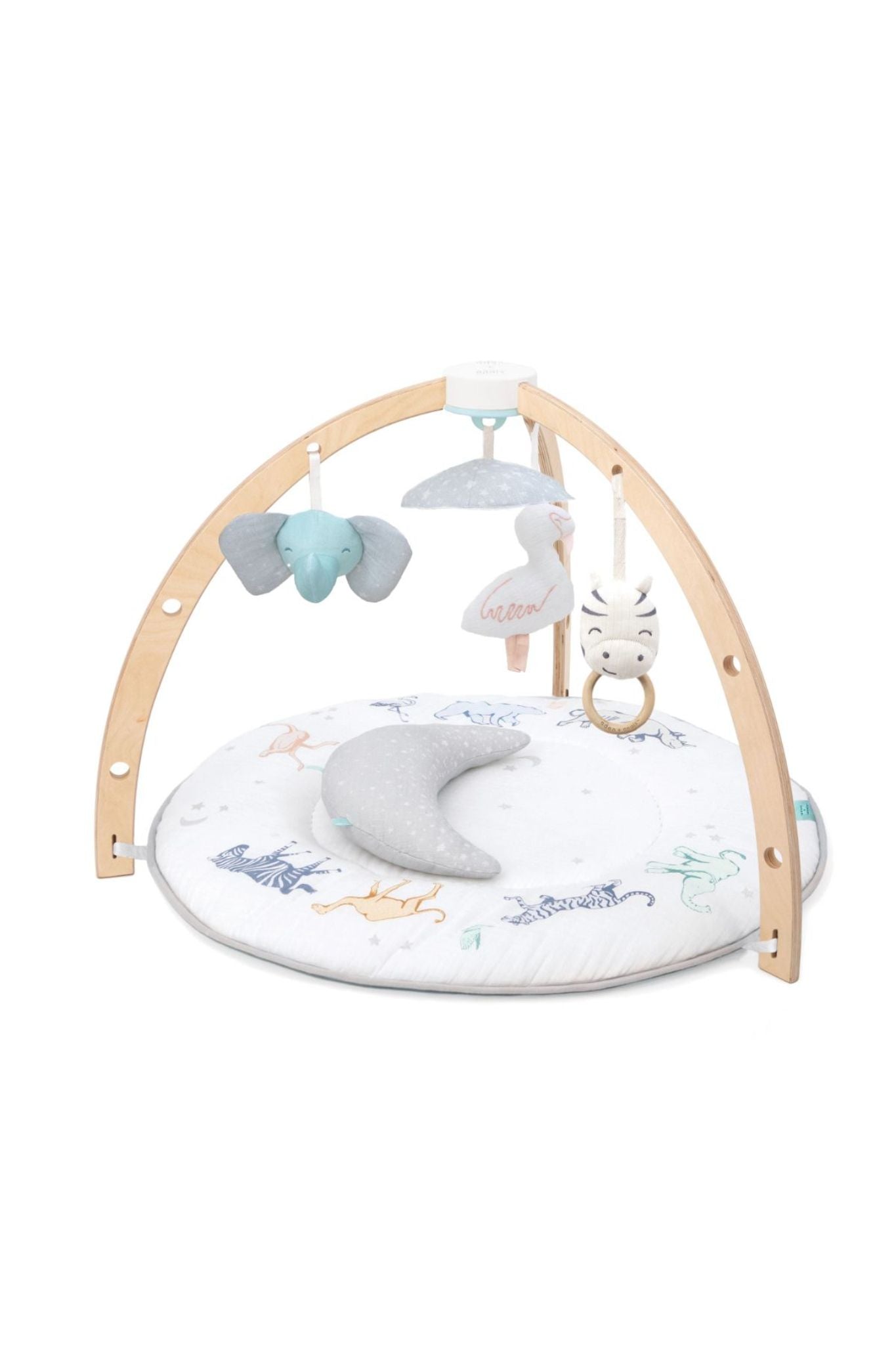 aden+anais ababy activity gym