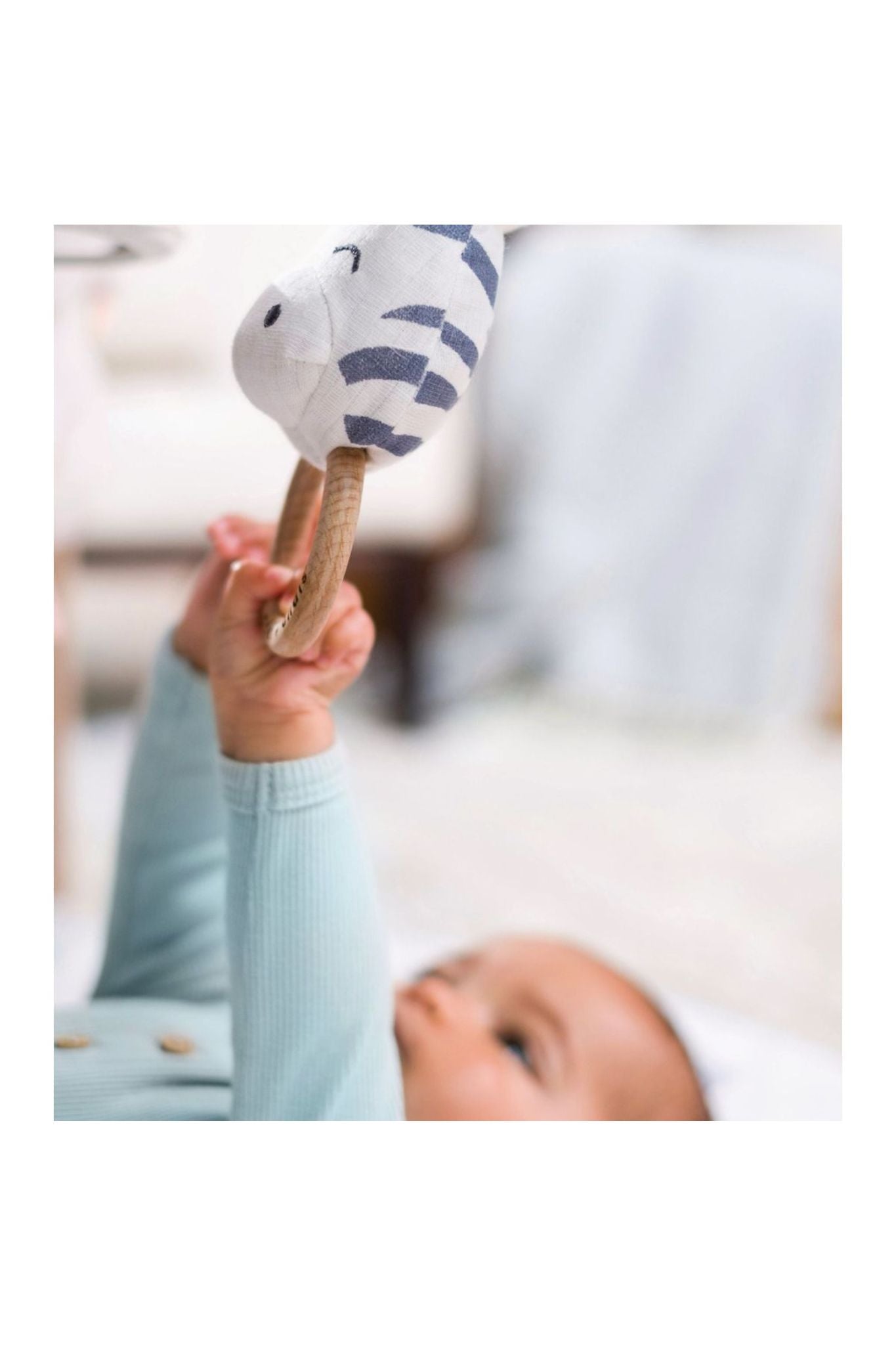 aden+anais ababy activity gym