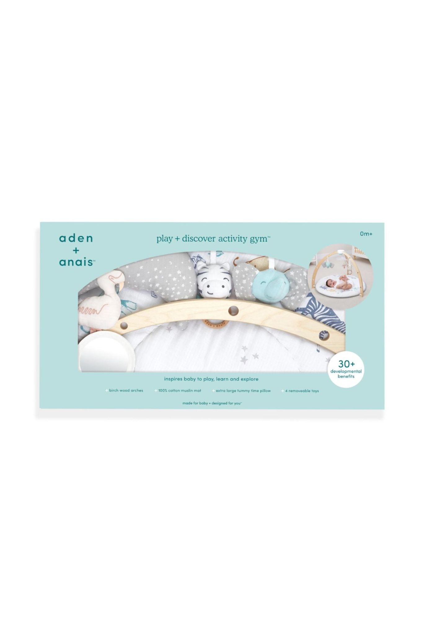 aden+anais ababy activity gym