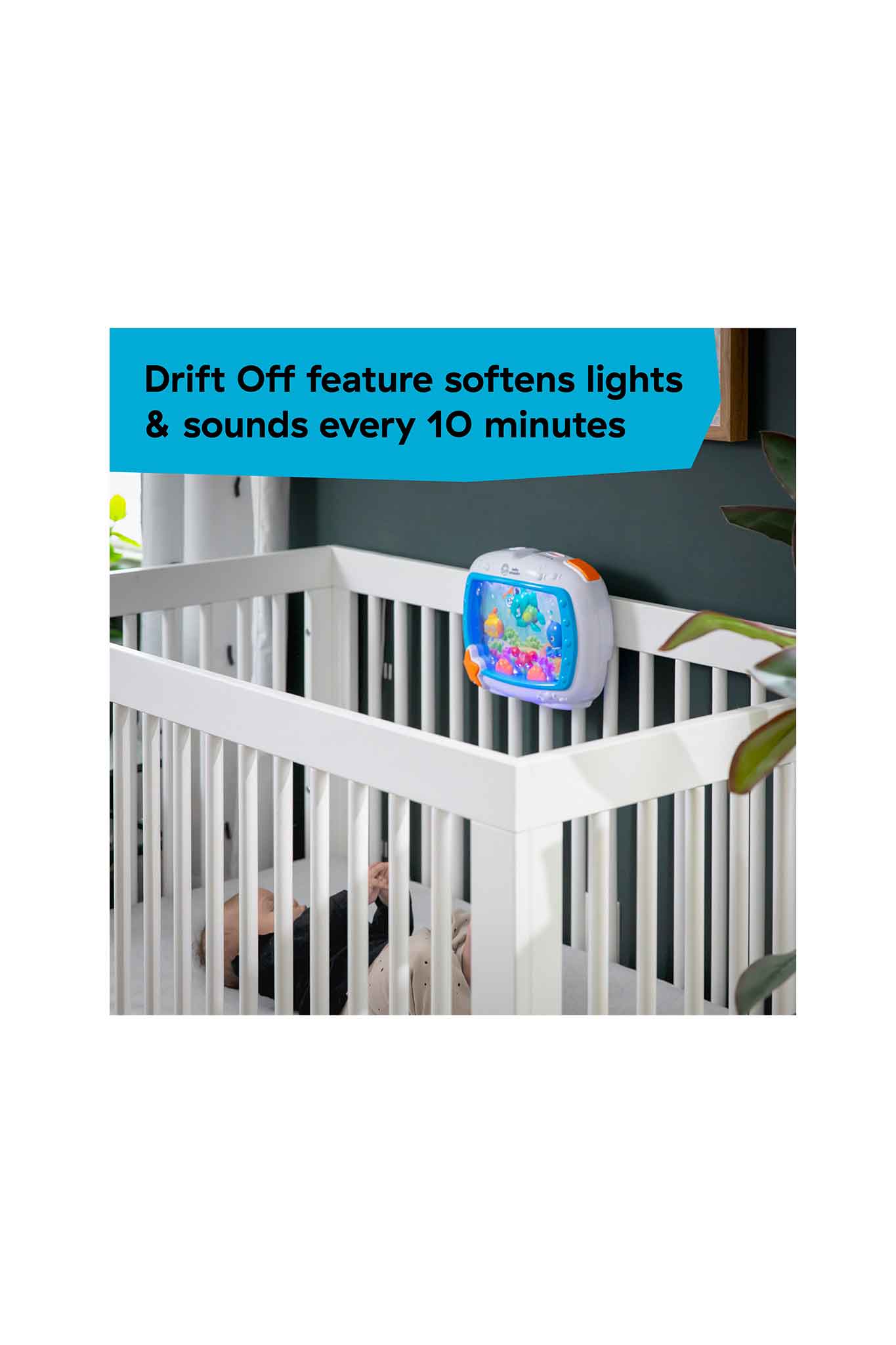 baby einstein sea dreams soother toy