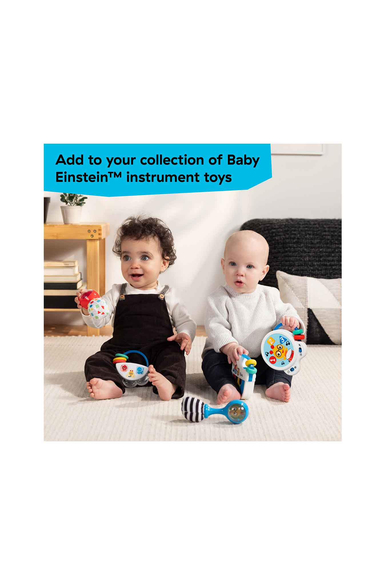 baby einstein shake & groov toy maracas