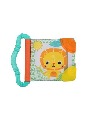 bright starts teethe & read soft book toy