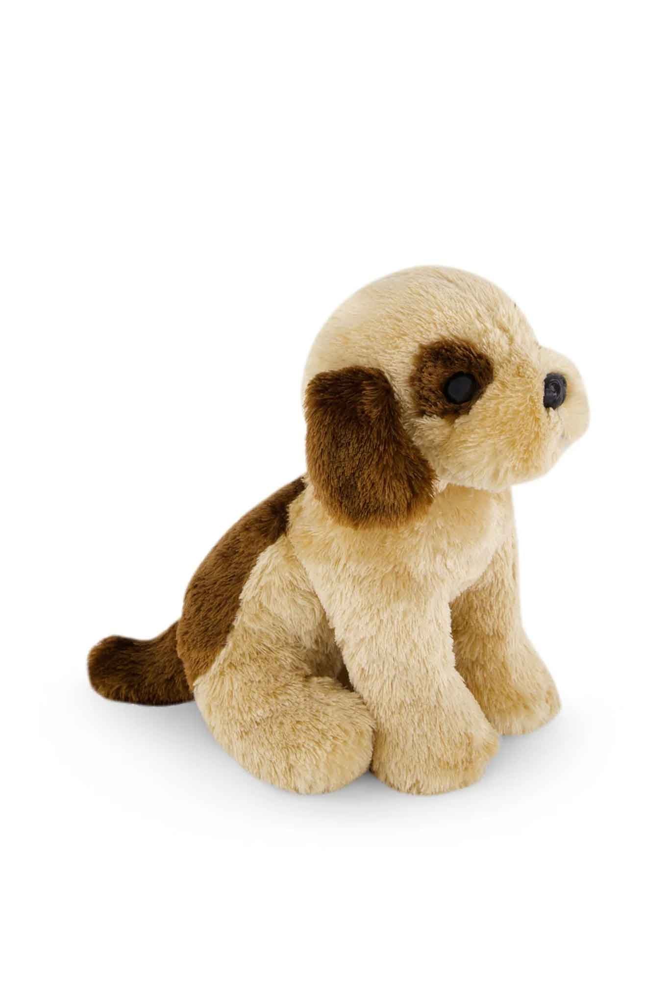 snuggle bunnies coco the shih tzu