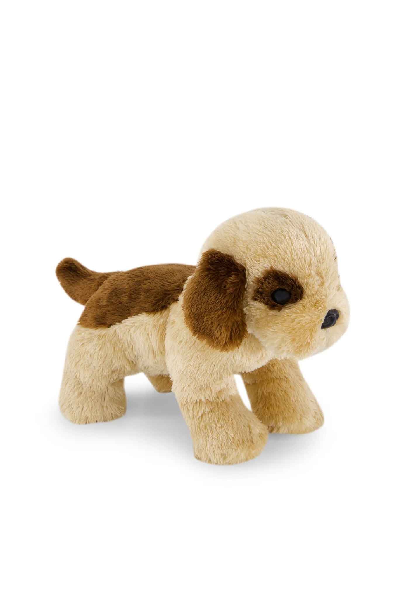 snuggle bunnies coco the shih tzu