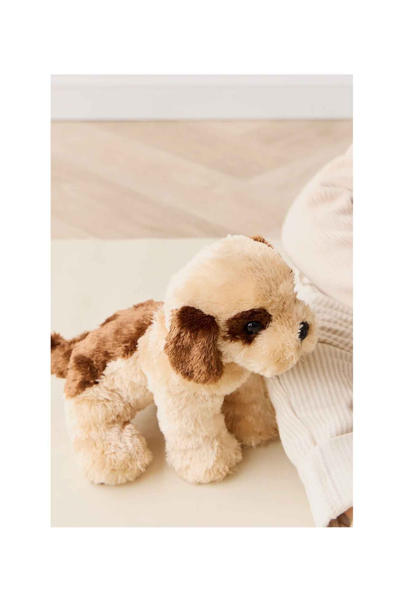 snuggle bunnies coco the shih tzu