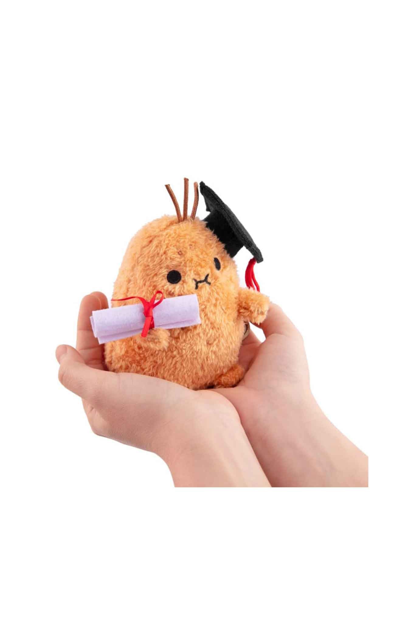noodoll graduate ricespud